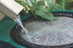 Applications open for master gardener, horticulture course in South Dakota